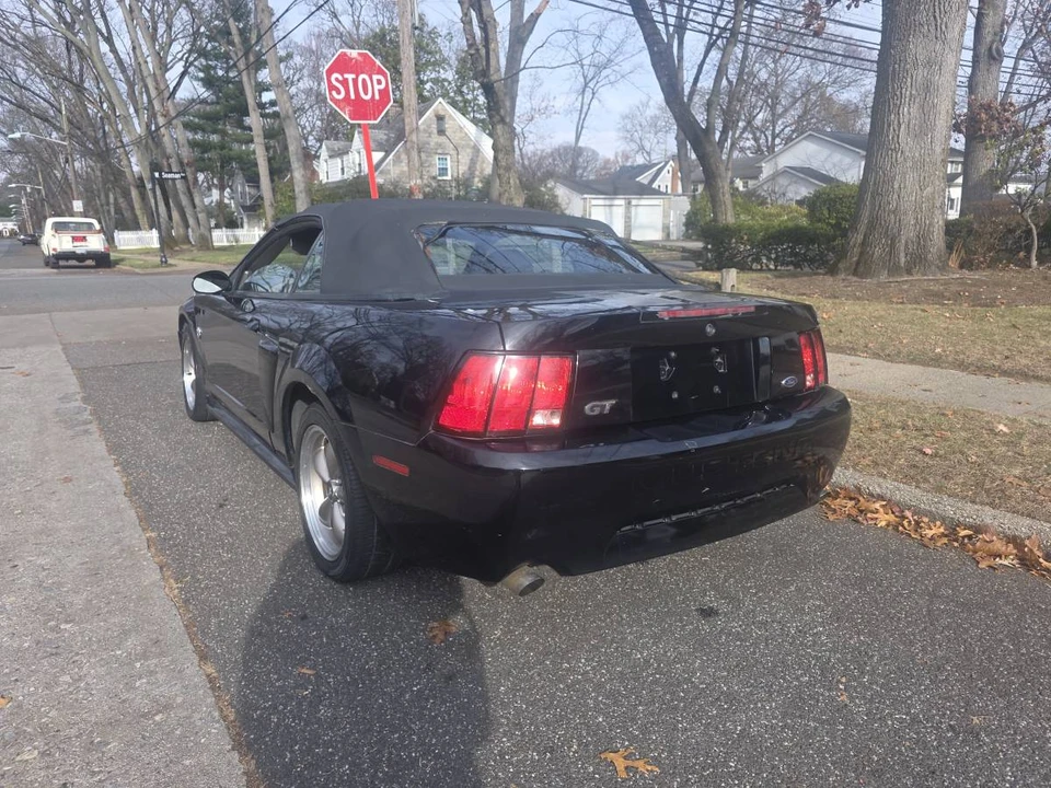 2004 Ford SN95 Mustang - Image 8 of 15