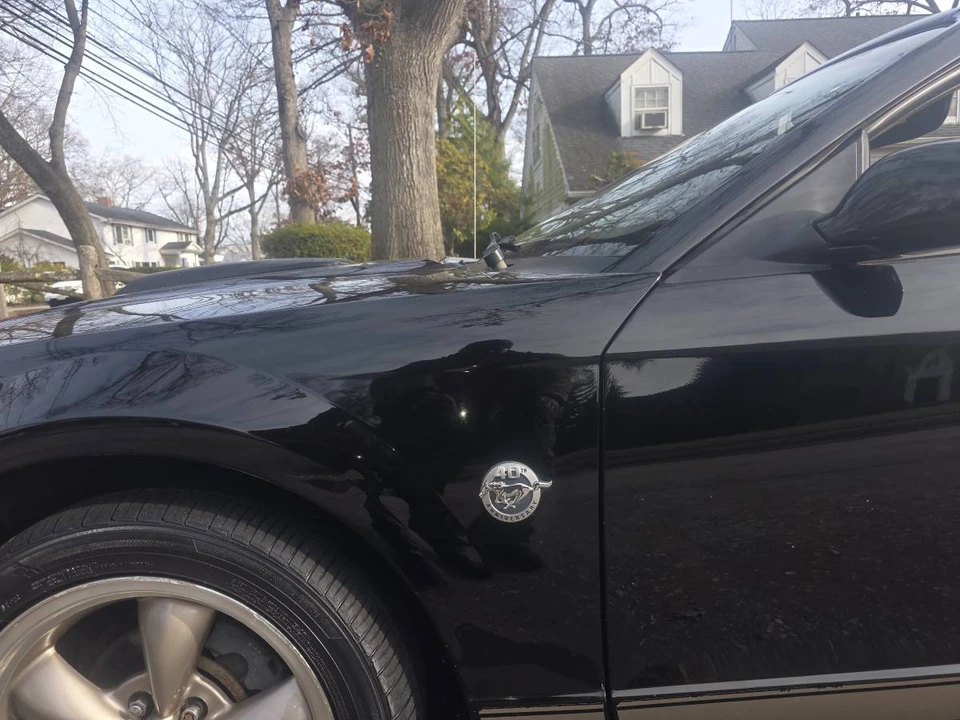 2004 Ford SN95 Mustang - Image 15 of 15