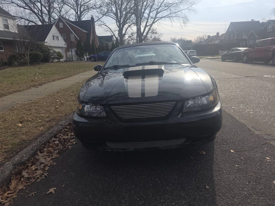 2004 Ford SN95 Mustang - Image 3 of 15