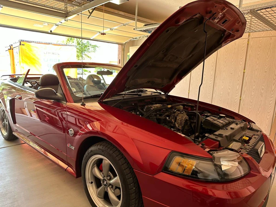 2004 Ford SN95 Mustang - Image 3 of 3