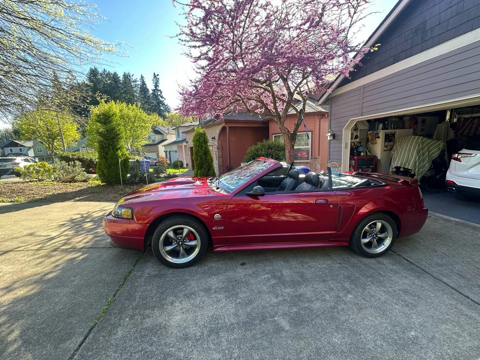 2004 Ford SN95 Mustang - Image 2 of 3