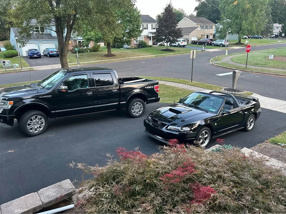 2004 Ford SN95 Mustang - Image 8 of 8
