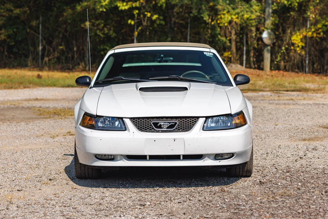 2004 Ford SN95 Mustang - Image 13 of 31