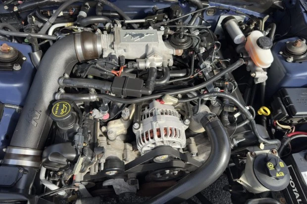 2004 Ford SN95 Mustang - Image 6 of 6