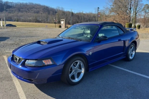 2004 Ford SN95 Mustang - Image 3 of 6