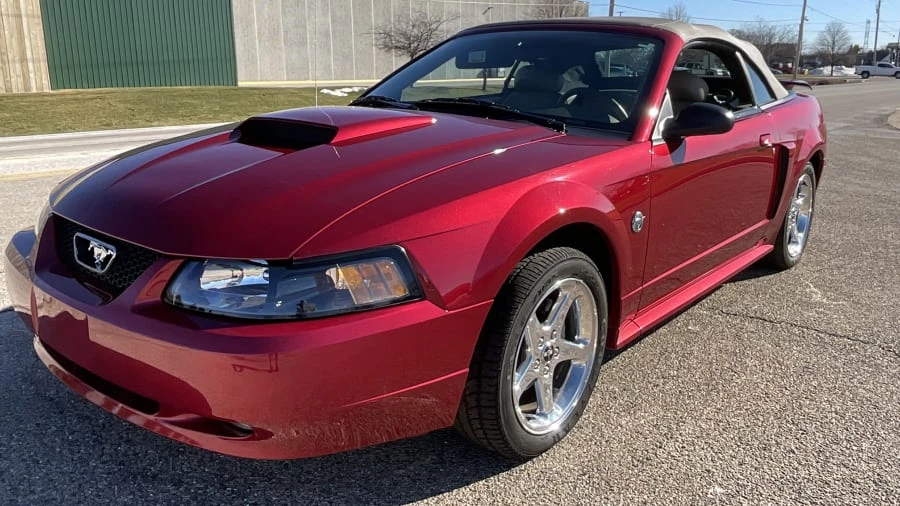 2004 Ford SN95 Mustang - Image 15 of 15