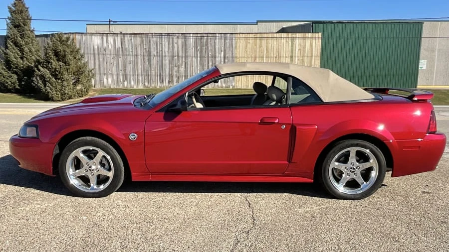 2004 Ford SN95 Mustang - Image 14 of 15