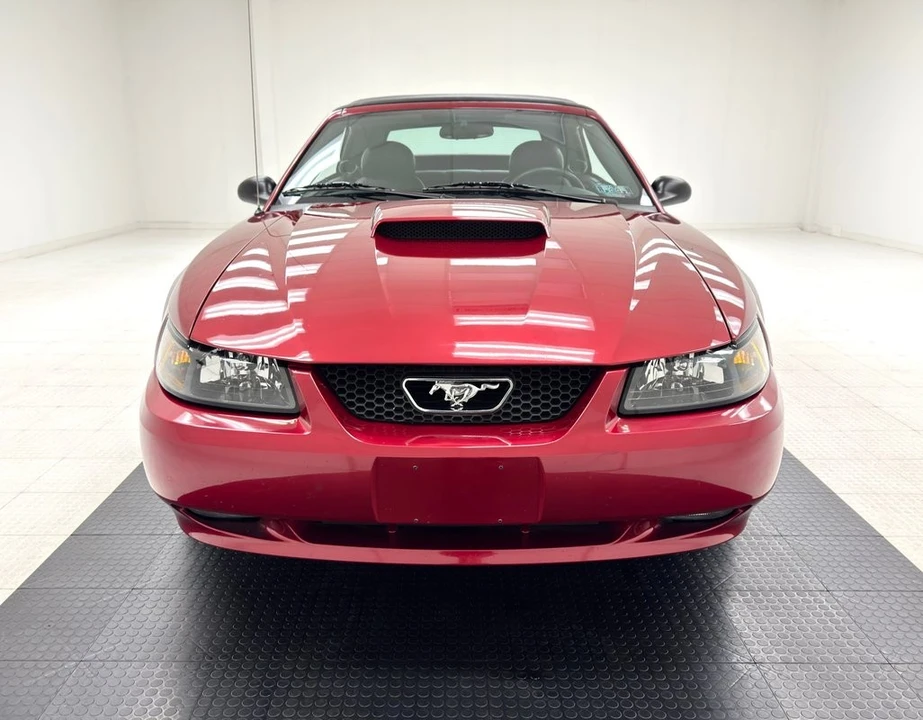2004 Ford SN95 Mustang - Image 11 of 12