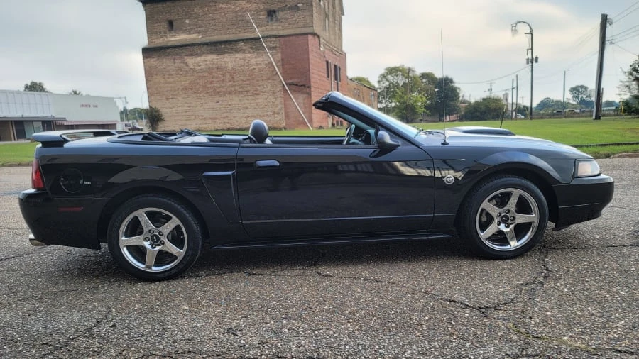 2004 Ford SN95 Mustang - Image 12 of 23