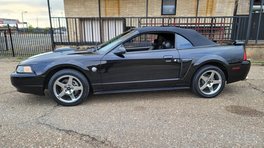 2004 Ford SN95 Mustang - Image 8 of 23