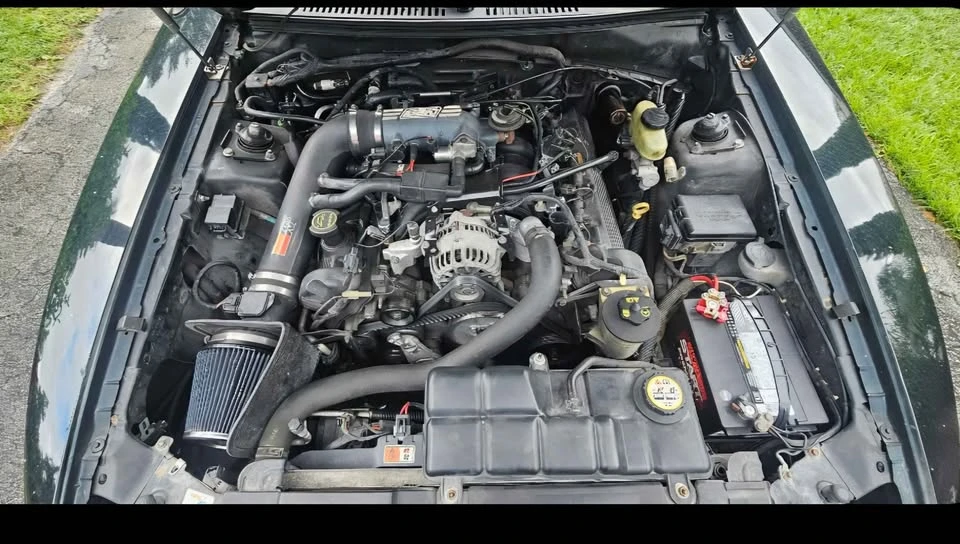 2004 Ford SN95 Mustang - Image 5 of 8