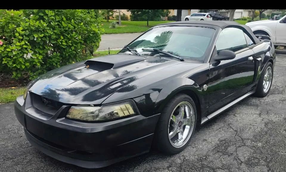 2004 Ford SN95 Mustang - Image 2 of 8