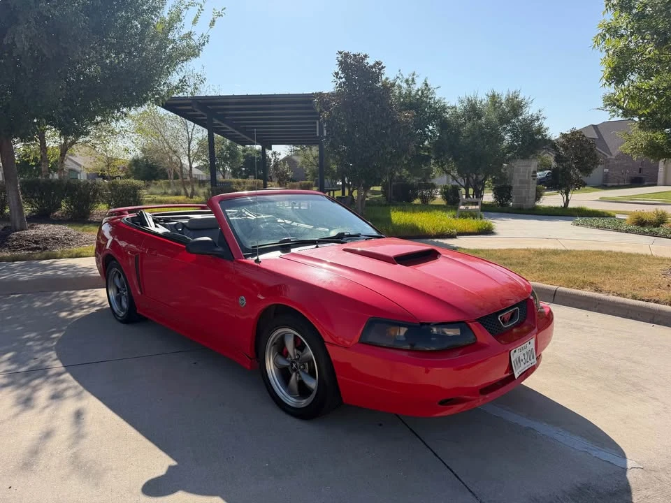 2004 Ford SN95 Mustang - Image 15 of 20
