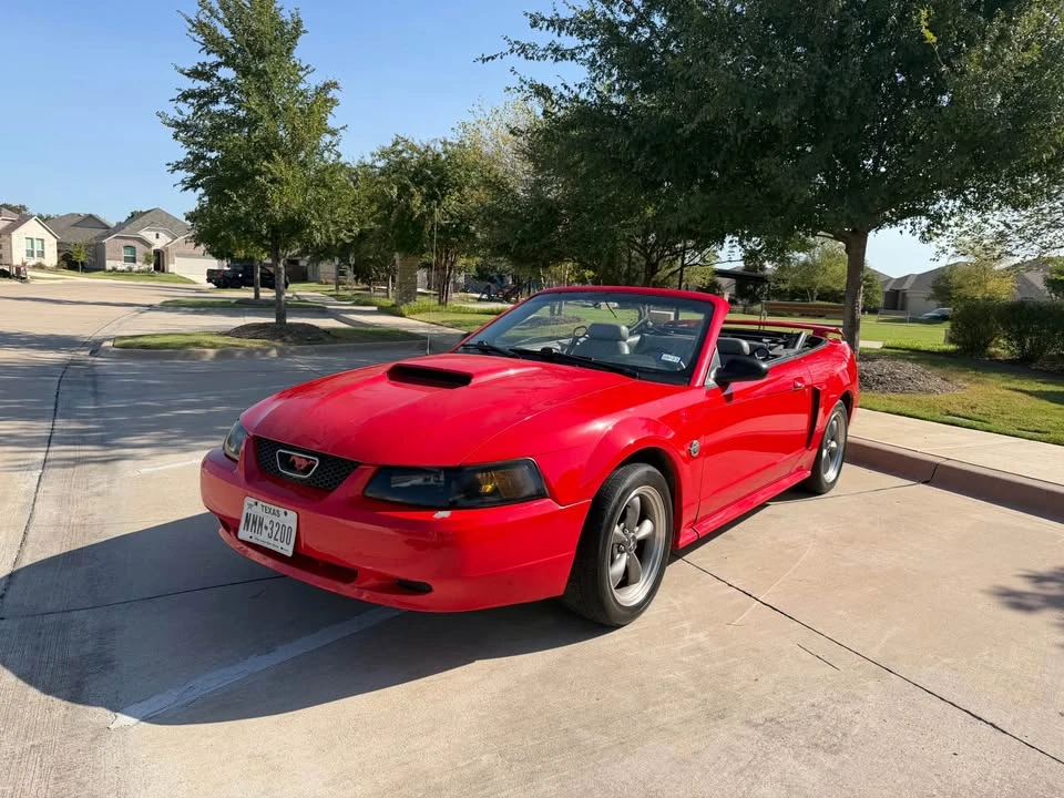 2004 Ford SN95 Mustang - Image 14 of 20