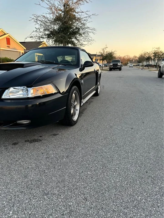 2004 Ford SN95 Mustang - Image 3 of 13