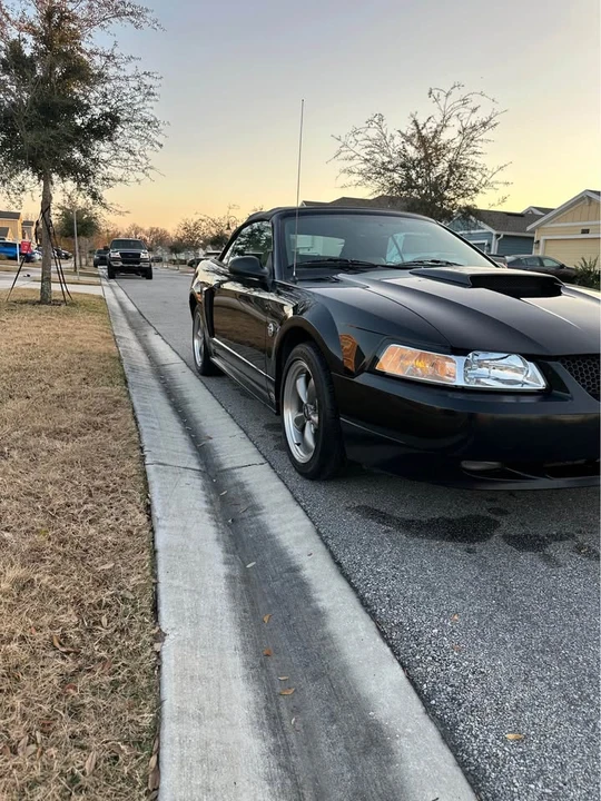 2004 Ford SN95 Mustang - Image 4 of 13