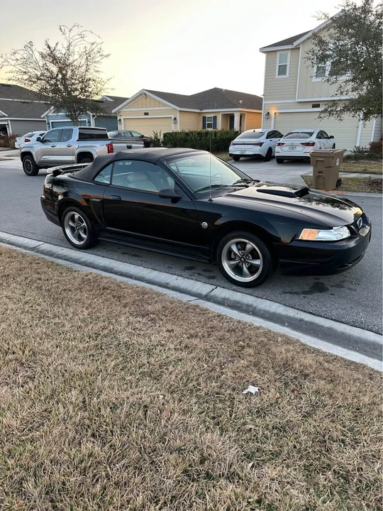 2004 Ford SN95 Mustang - Image 2 of 13