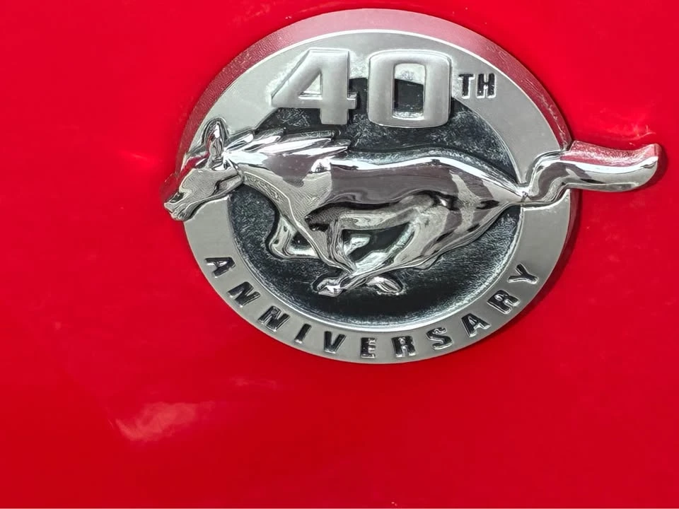 2004 Ford SN95 Mustang - Image 15 of 16