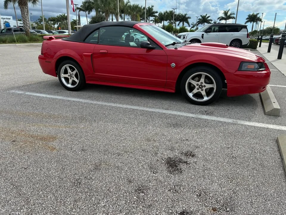 2004 Ford SN95 Mustang - Image 3 of 16