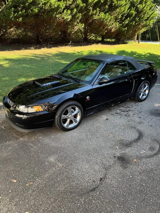 2004 Ford SN95 Mustang - Image 2 of 12