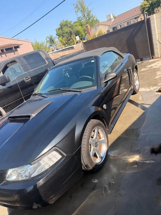2004 Ford SN95 Mustang - Image 2 of 10