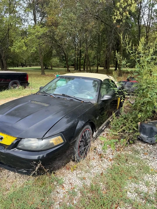 2004 Ford SN95 Mustang - Image 2 of 5