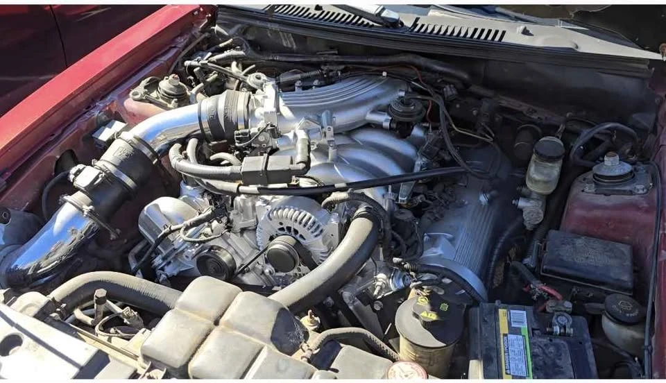 2004 Ford SN95 Mustang - Image 2 of 2