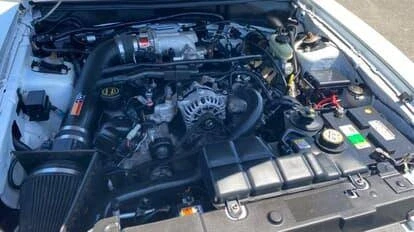2004 Ford SN95 Mustang - Image 12 of 13