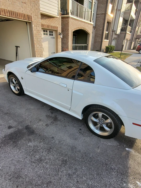 2004 Ford SN95 Mustang - Image 14 of 21