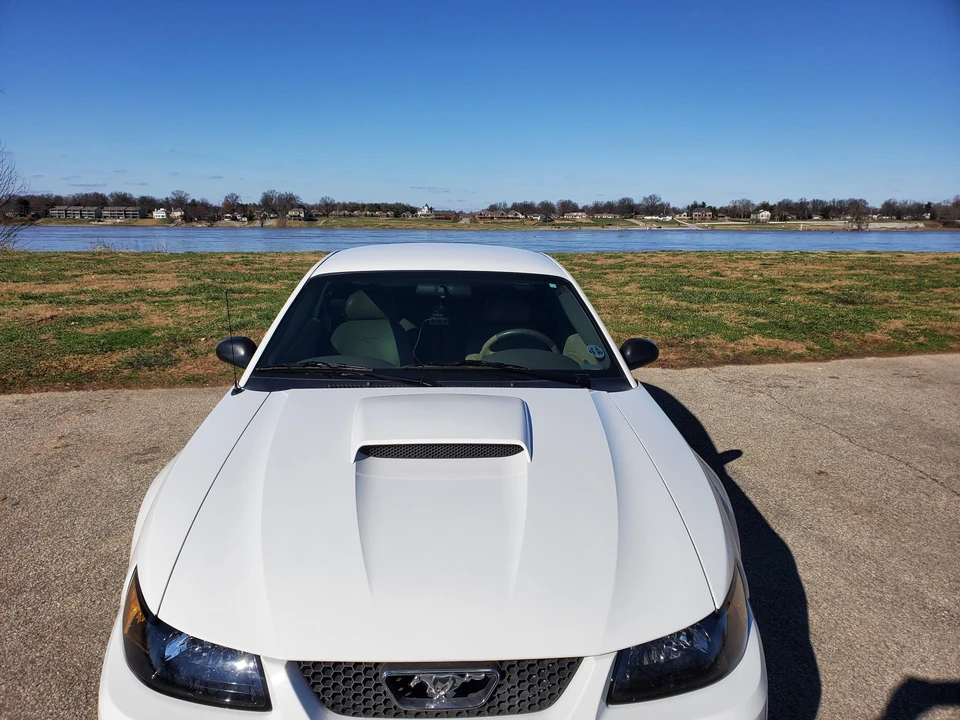 2004 Ford SN95 Mustang - Image 9 of 21