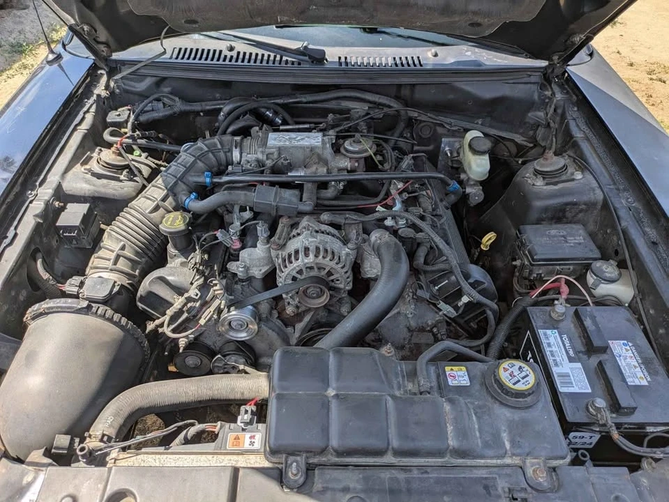 2004 Ford SN95 Mustang - Image 8 of 8