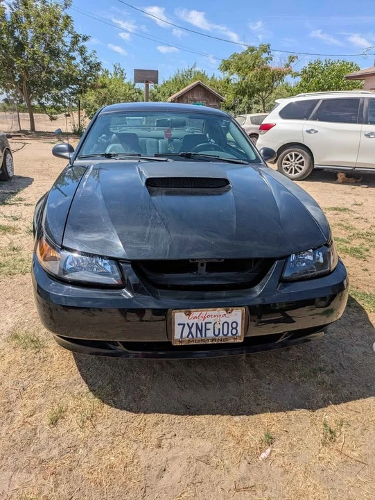 2004 Ford SN95 Mustang - Image 3 of 8
