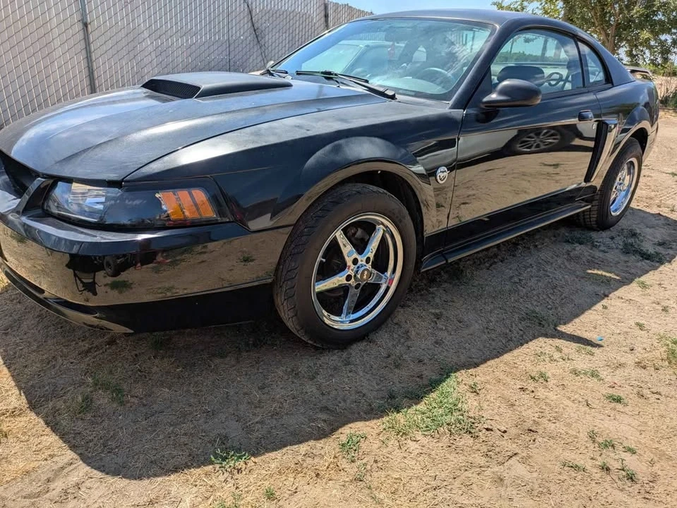 2004 Ford SN95 Mustang - Image 5 of 8