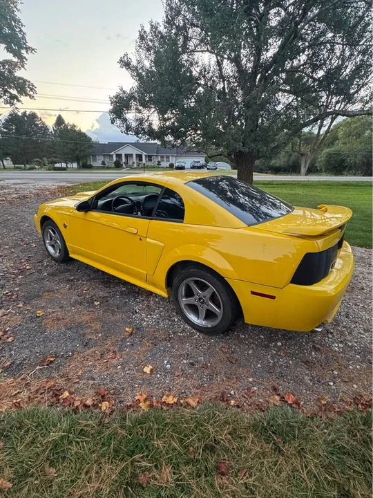 2004 Ford SN95 Mustang - Image 4 of 10