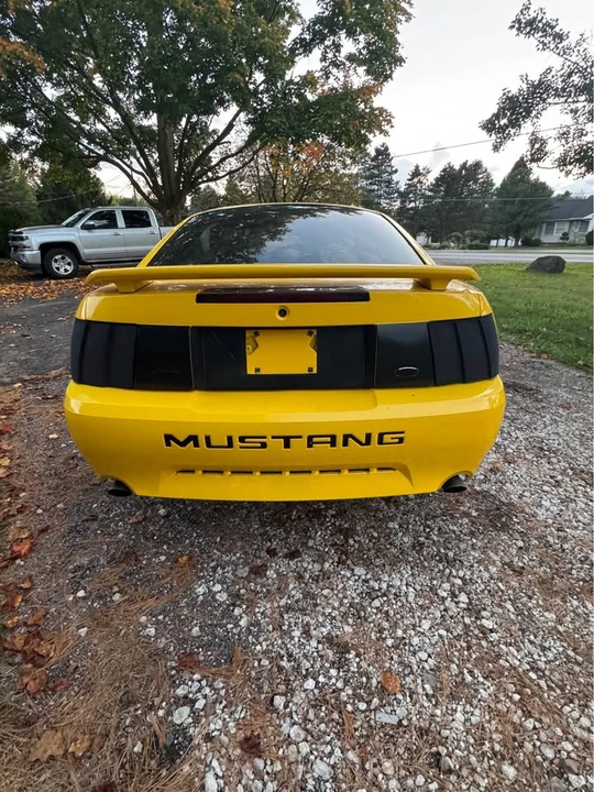 2004 Ford SN95 Mustang - Image 6 of 10