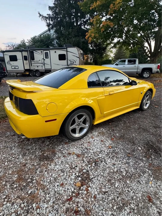 2004 Ford SN95 Mustang - Image 5 of 10