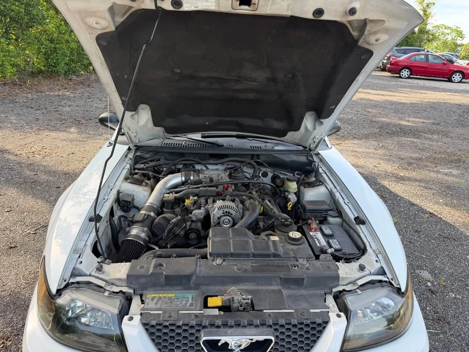2004 Ford SN95 Mustang - Image 19 of 20