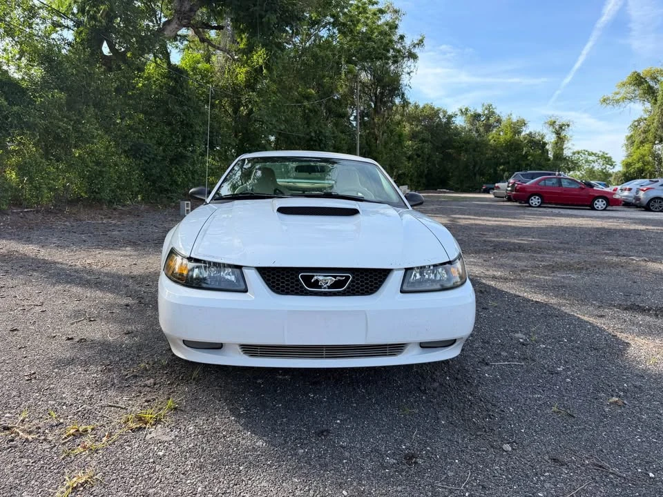 2004 Ford SN95 Mustang - Image 8 of 20