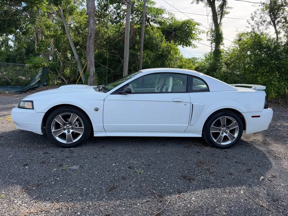 2004 Ford SN95 Mustang - Image 2 of 20