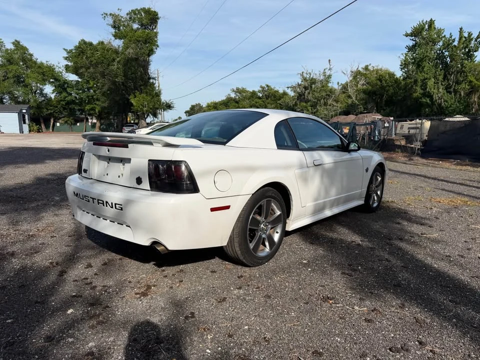 2004 Ford SN95 Mustang - Image 5 of 20