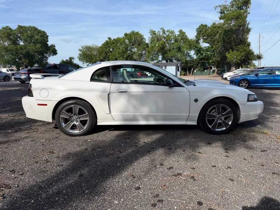 2004 Ford SN95 Mustang - Image 6 of 20