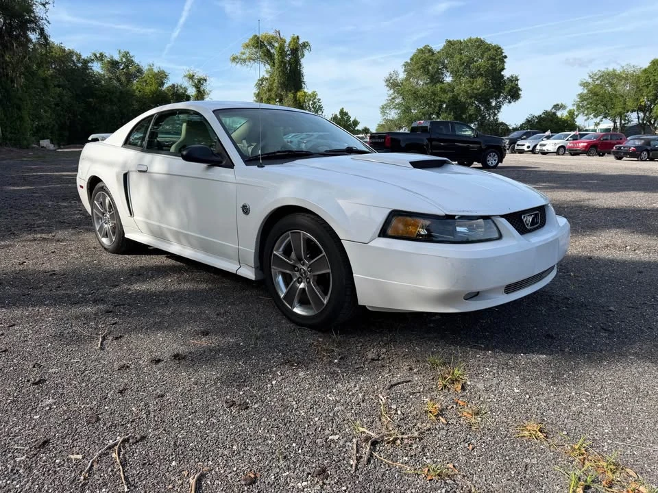 2004 Ford SN95 Mustang - Image 7 of 20