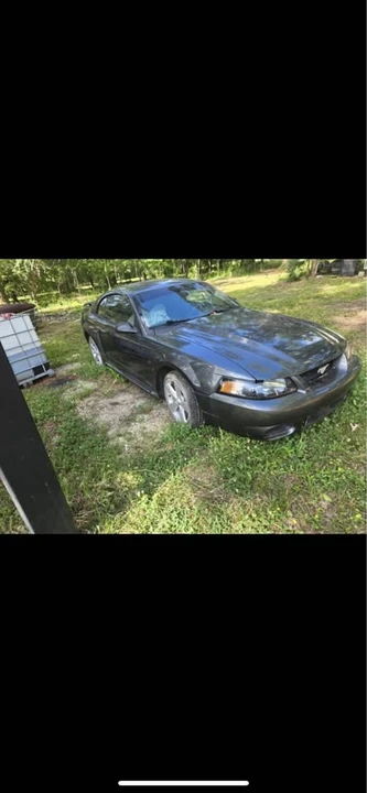 2004 Ford SN95 Mustang - Image 2 of 6