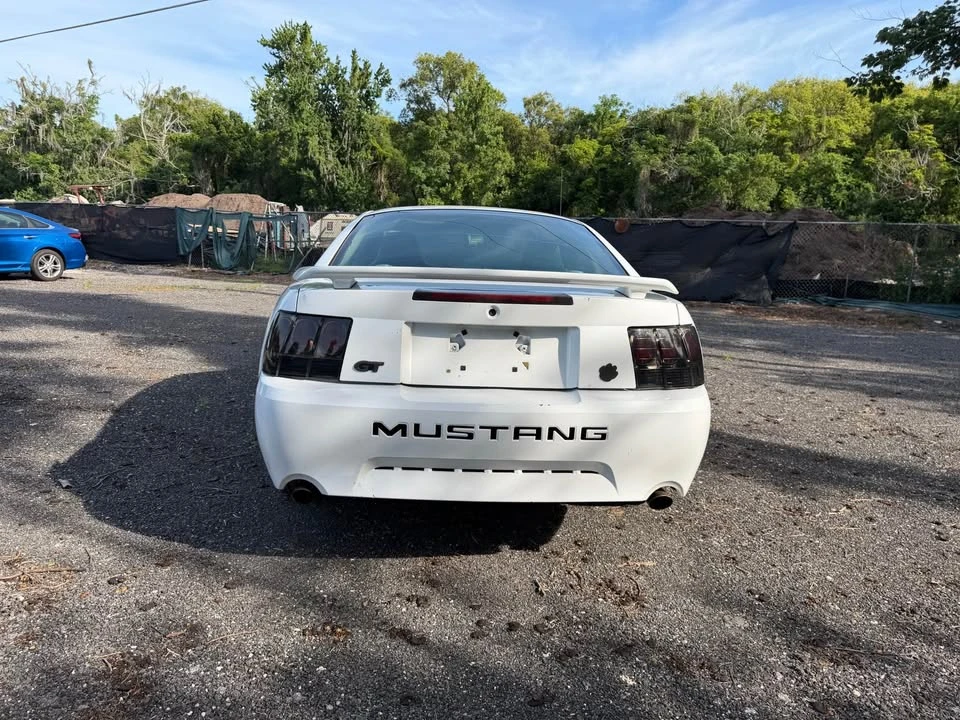 2004 Ford SN95 Mustang - Image 4 of 20