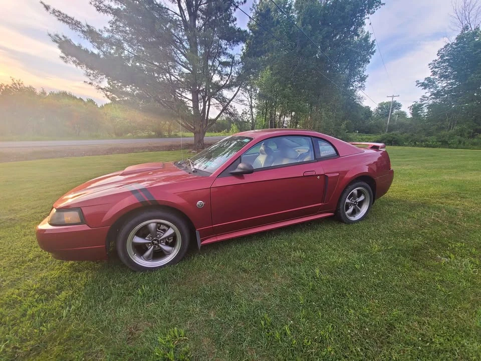2004 Ford SN95 Mustang - Image 12 of 12