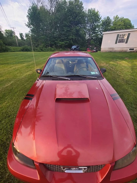 2004 Ford SN95 Mustang - Image 11 of 12