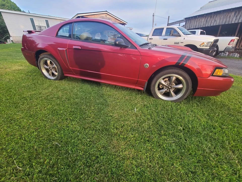 2004 Ford SN95 Mustang - Image 10 of 12
