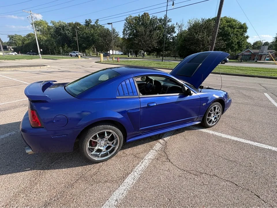 2004 Ford SN95 Mustang - Image 11 of 13