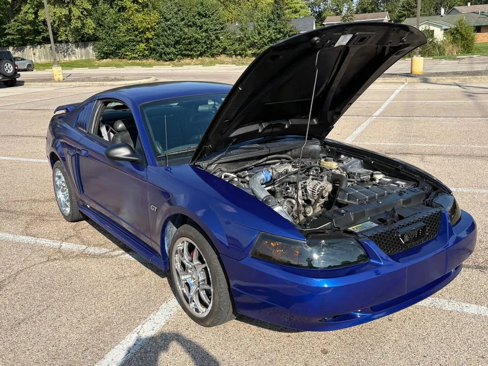 2004 Ford SN95 Mustang - Image 8 of 13