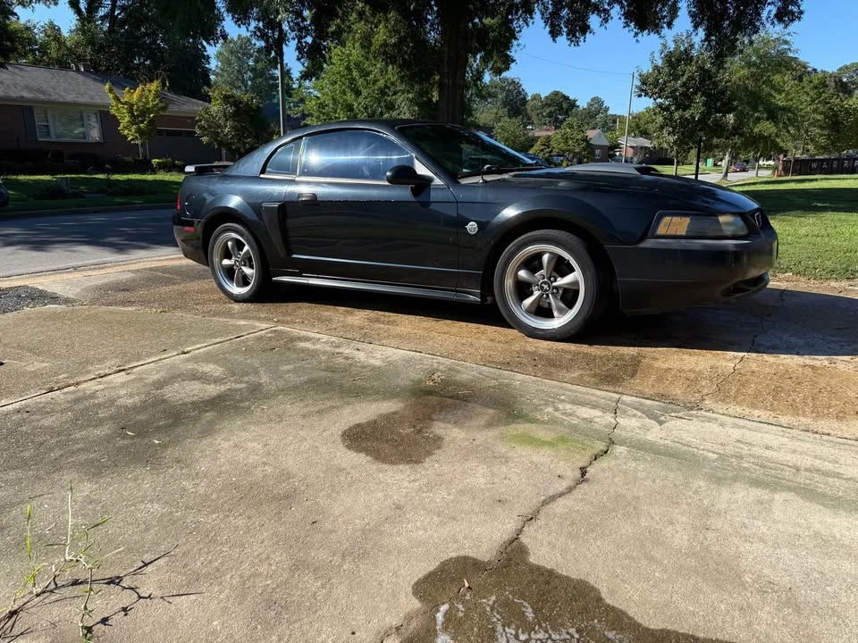 2004 Ford SN95 Mustang - Image 7 of 10